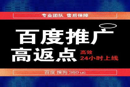 百度推广实战案例：如何精准投放广告